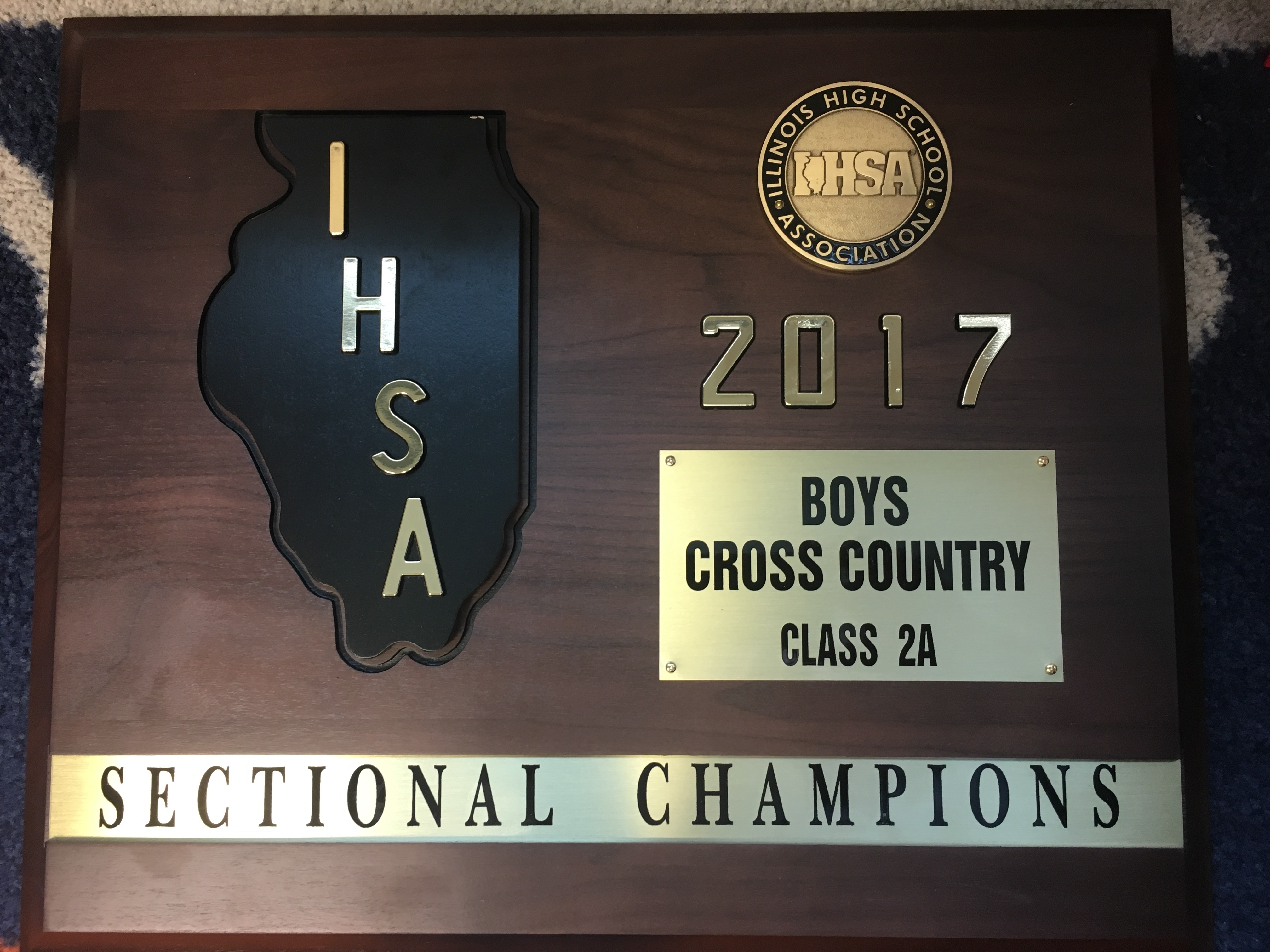 Sectional
                      Champion Plaque